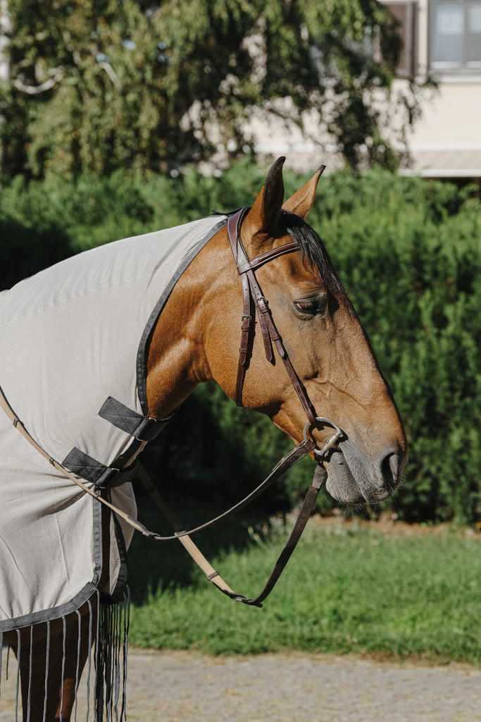 Couverture de travail/couvre-reins RIDING WORLD anti-mouches