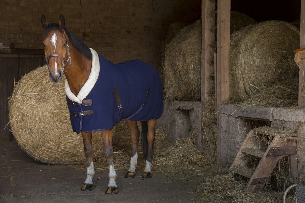 Couverture polaire EQUITHÈME "TEDDY"