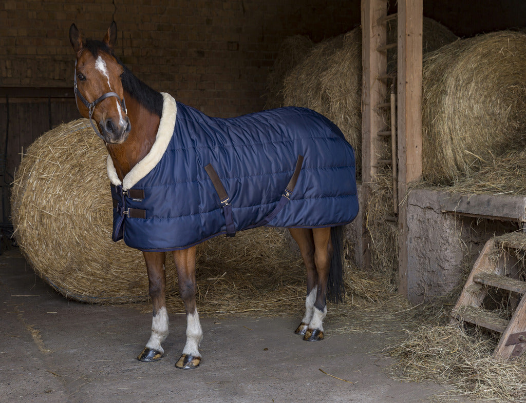 Couverture d'écurie EQUITHÈME "TEDDY" 200g