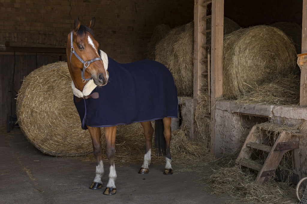 Couverture en laine EQUITHÈME "TEDDY"