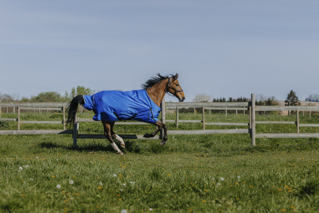 Couverture d'extérieur EQUITHÈME - TYREX AISANCE 1200D 300g