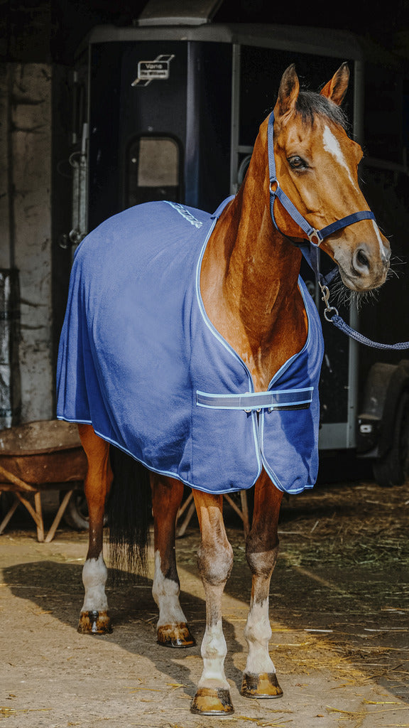 SET COMPLET RIDING WORLD (licol, longe, bandages, chemise polaire)