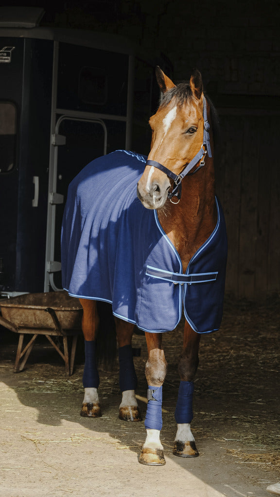 SET COMPLET RIDING WORLD (licol, longe, bandages, chemise polaire)