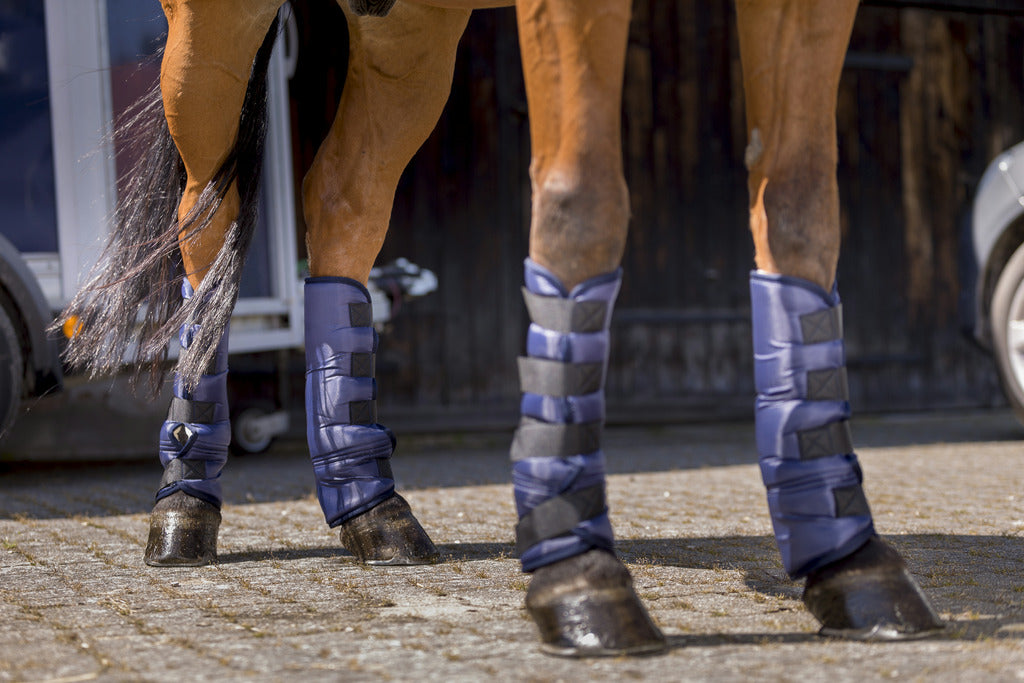 Guêtres de transport basses RIDING WORLD