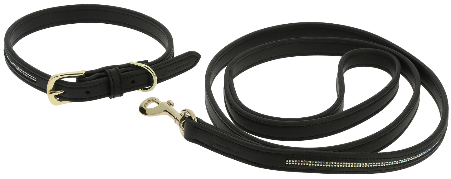 Collier et laisse pour chien EQUITHÈME - Max - 2 coloris - 3 tailles
