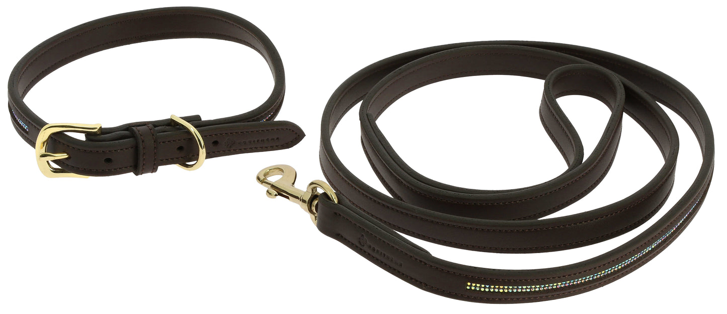 Collier et laisse pour chien EQUITHÈME - Max - 2 coloris - 3 tailles