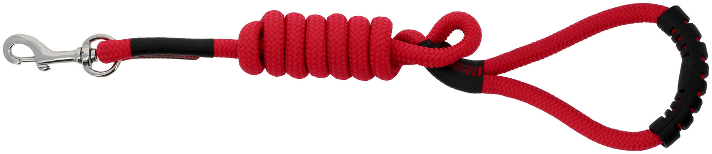 Laisse pour chien avec poignée RIDING WORLD - Lucky 8 coloris