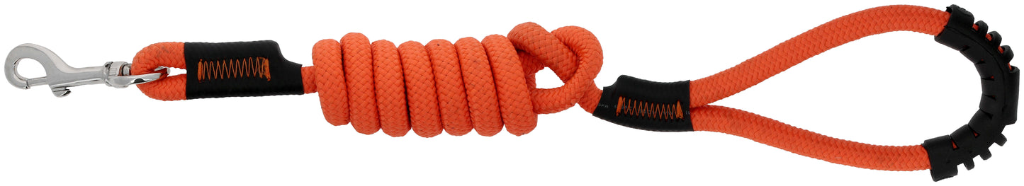 Laisse pour chien avec poignée RIDING WORLD - Lucky 8 coloris