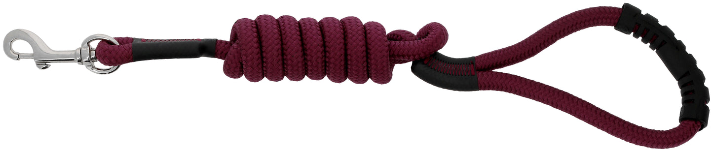Laisse pour chien avec poignée RIDING WORLD - Lucky 8 coloris