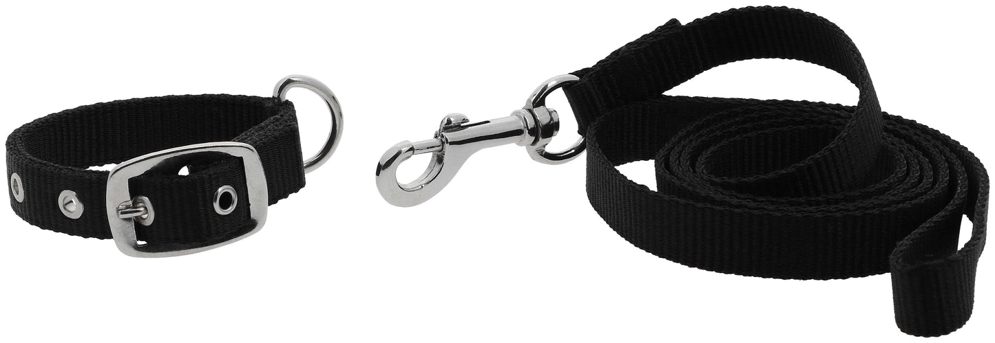 Collier et laisse pour chien RIDING WORLD - Oscar - 4 coloris - 3 tailles