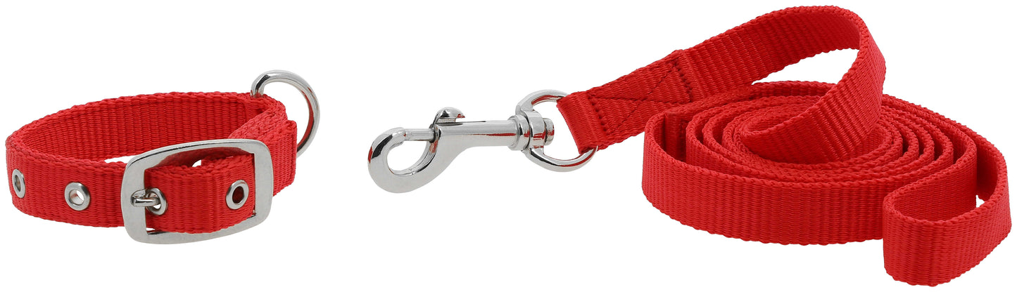 Collier et laisse pour chien RIDING WORLD - Oscar - 4 coloris - 3 tailles