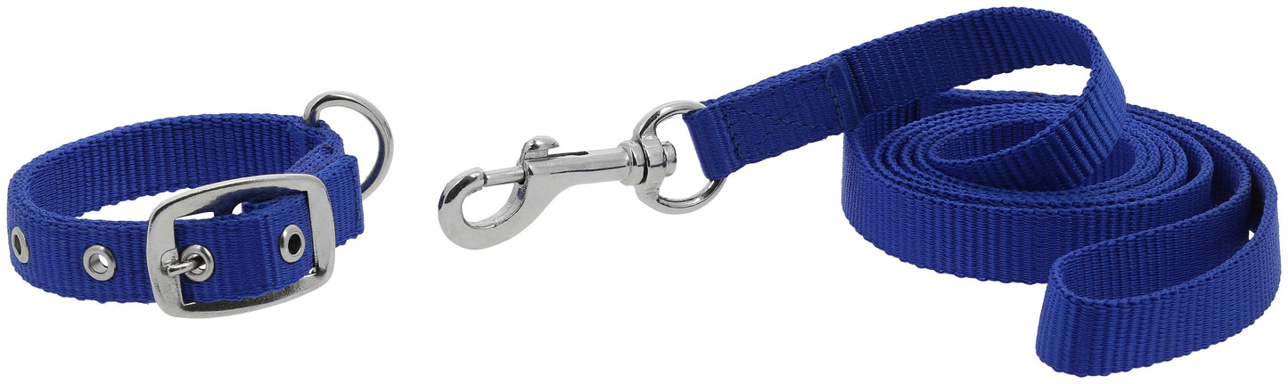 Collier et laisse pour chien RIDING WORLD - Oscar - 4 coloris - 3 tailles