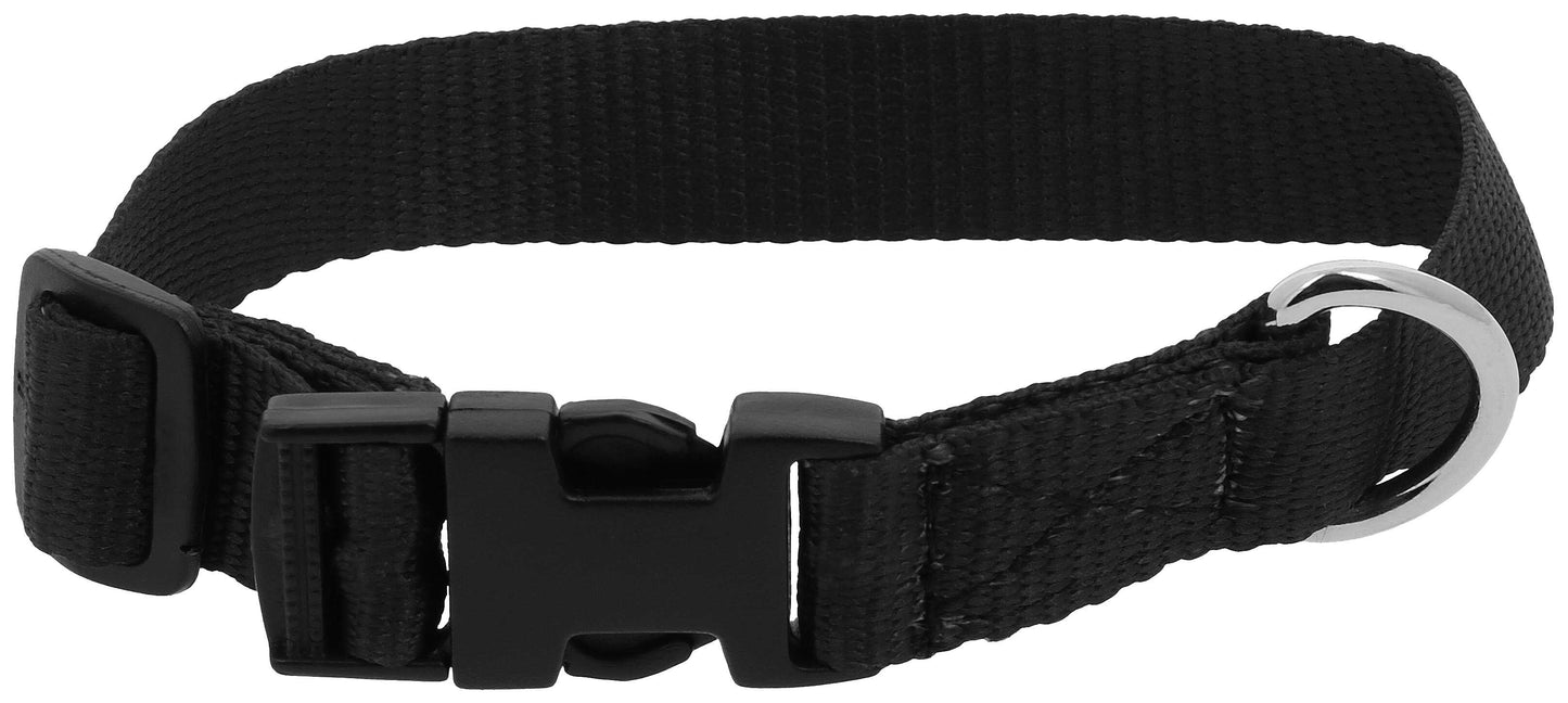 Collier pour chien RIDING WORLD - Pat - 8 coloris - 3 tailles
