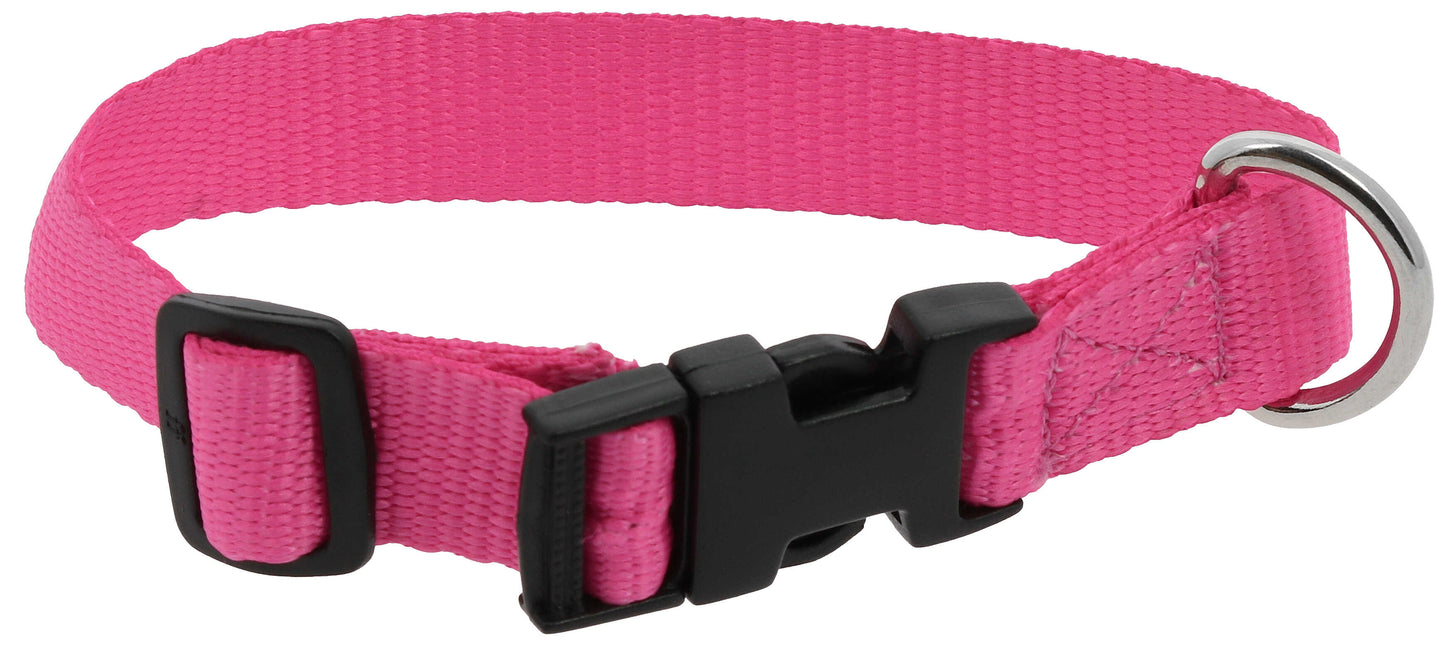 Collier pour chien RIDING WORLD - Pat - 8 coloris - 3 tailles