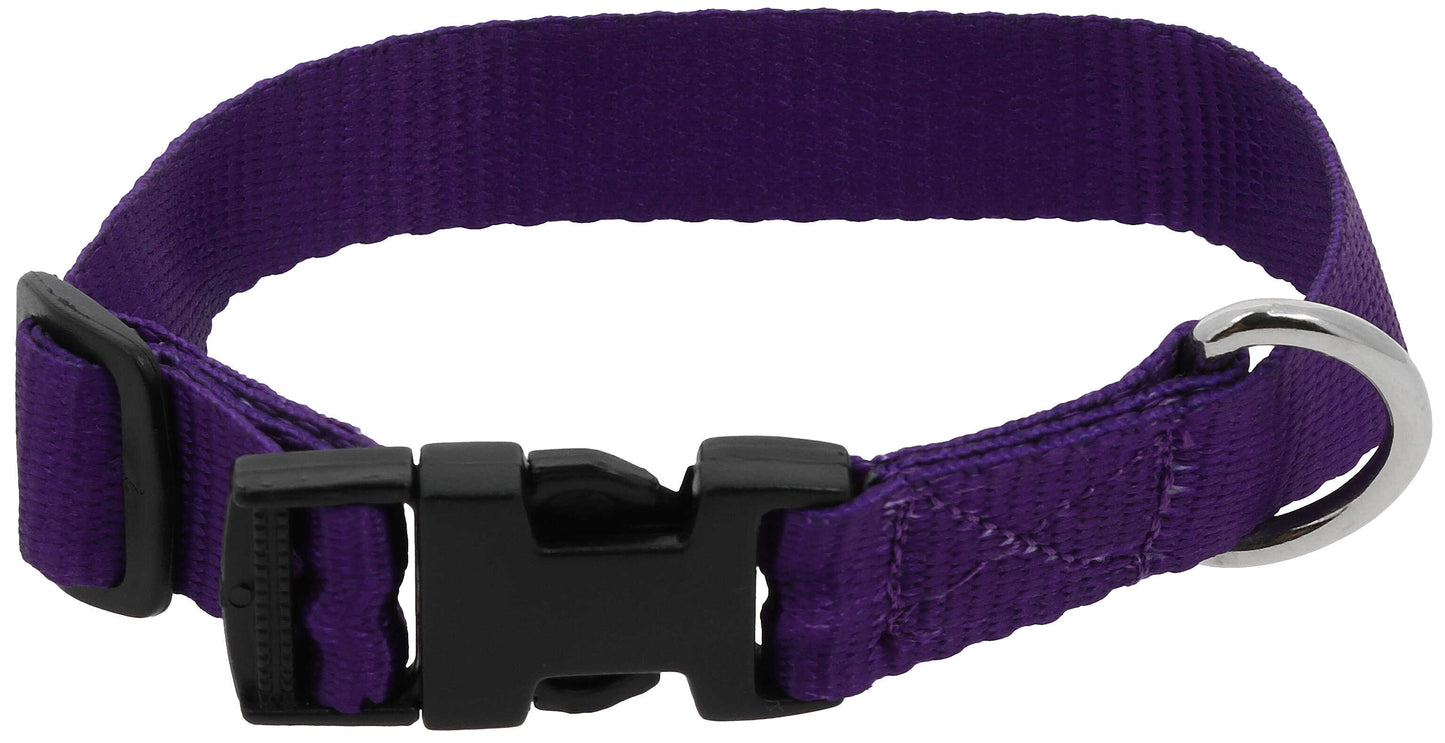 Collier pour chien RIDING WORLD - Pat - 8 coloris - 3 tailles
