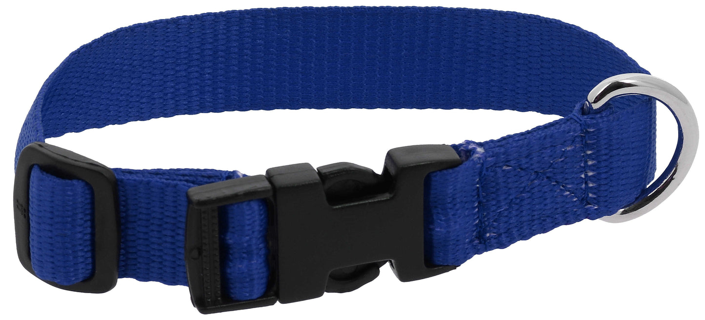 Collier pour chien RIDING WORLD - Pat - 8 coloris - 3 tailles