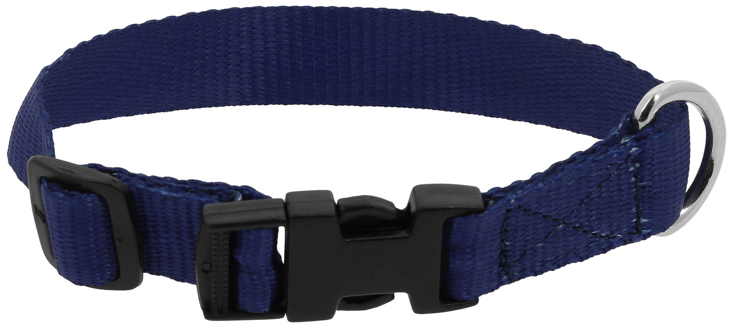 Collier pour chien RIDING WORLD - Pat - 8 coloris - 3 tailles