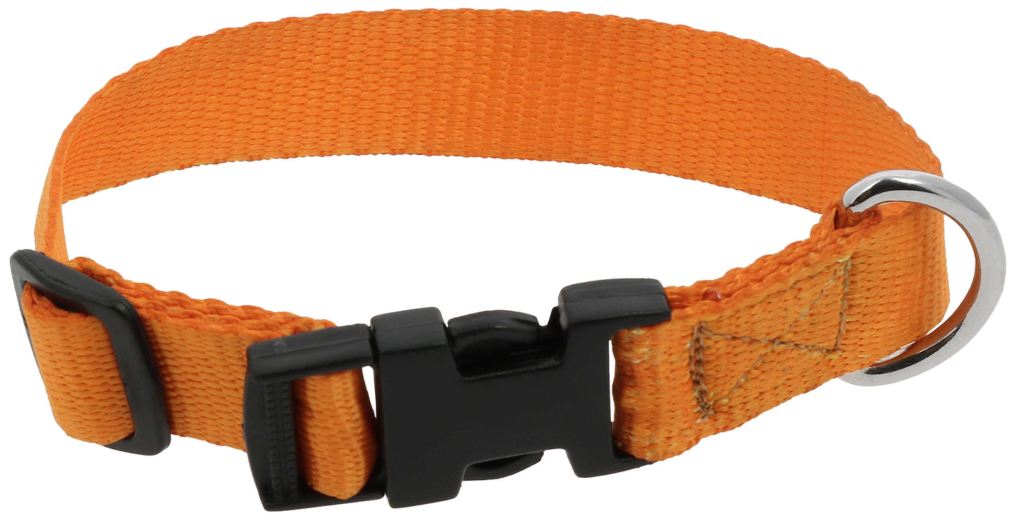 Collier pour chien RIDING WORLD - Pat - 8 coloris - 3 tailles