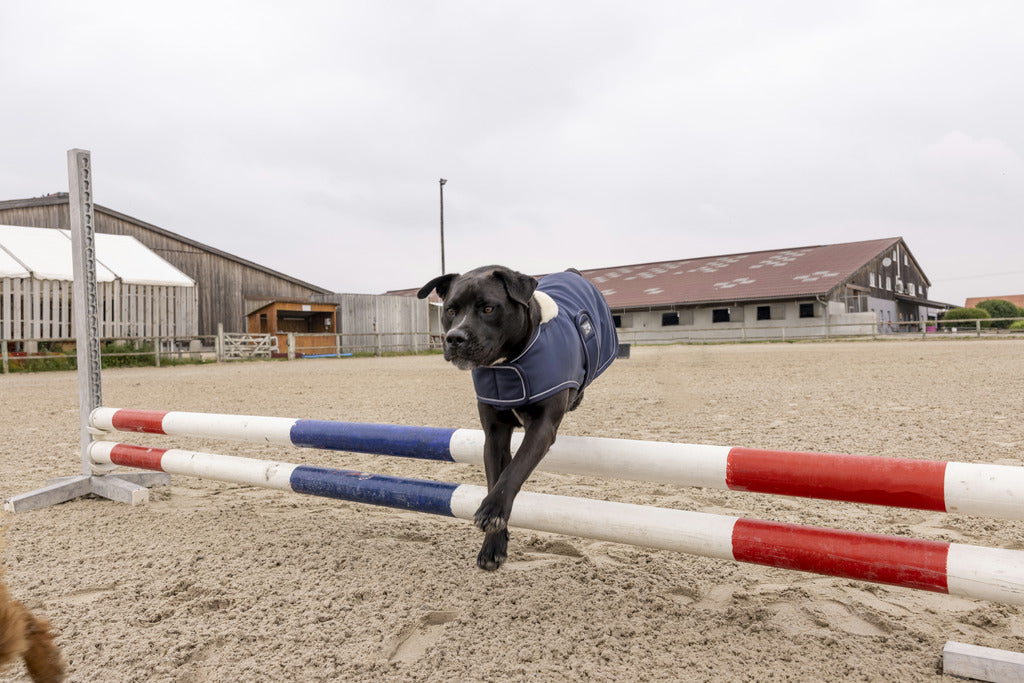 Couverture pour chien en nylon DIEGO & LOUNA "TEDDY", 3 coloris, 6 tailles