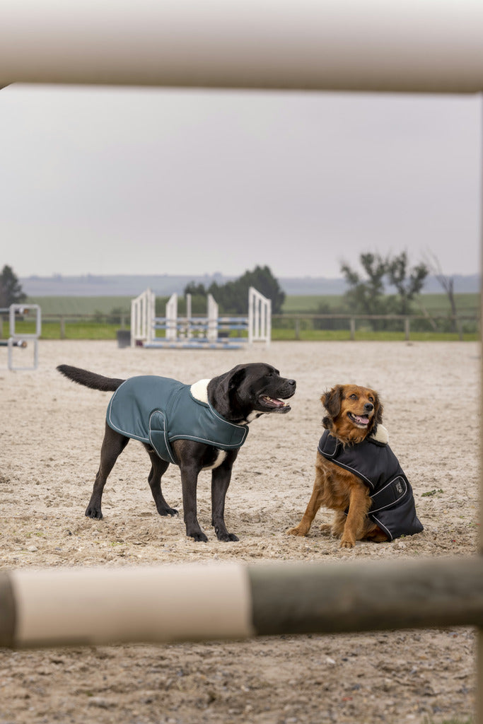 Couverture pour chien en nylon DIEGO & LOUNA "TEDDY", 3 coloris, 6 tailles