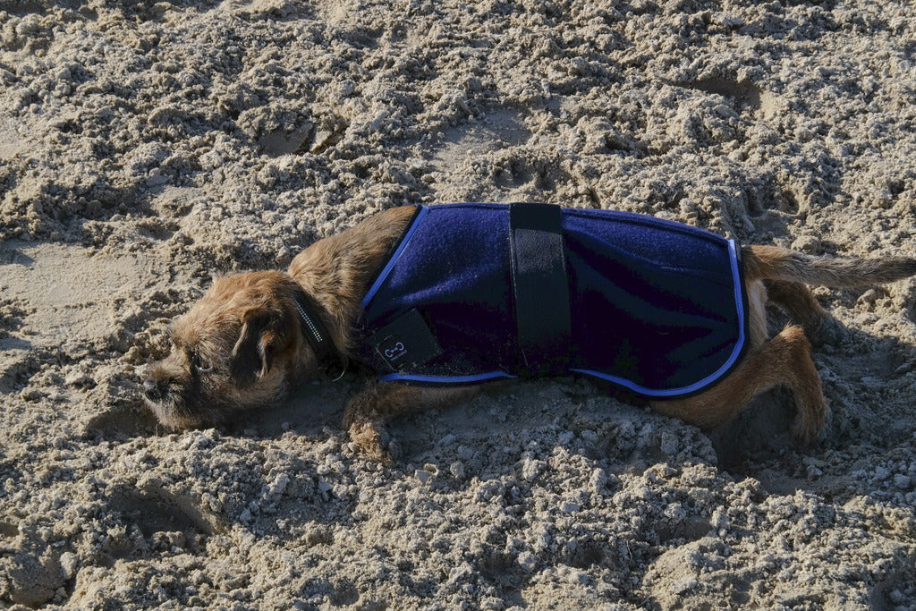 Chemise polaire pour chien RIDING WORLD, 6 tailles