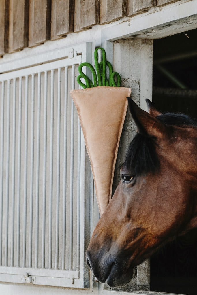 JOUET POUR CHEVAUX HIPPOTONIC - CAROTTE