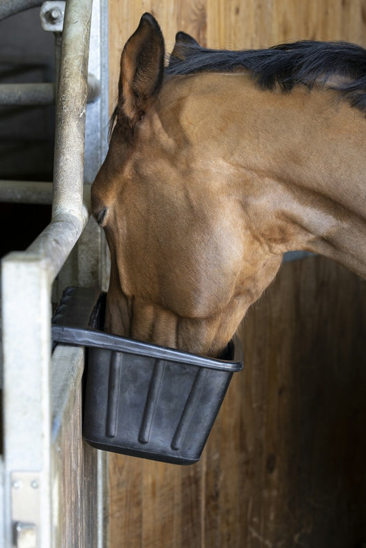 MANGEOIRE HIPPOTONIC EN CAOUTCHOUC 14 litres