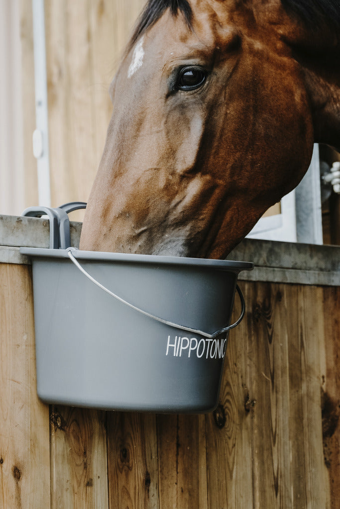 MANGEOIRE HIPPOTONIC À CROCHETS ET ANSE 14 litres