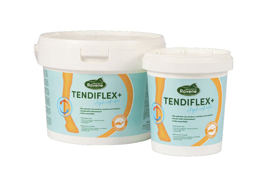 ARGILE RAVENE "TENDIFLEX +"