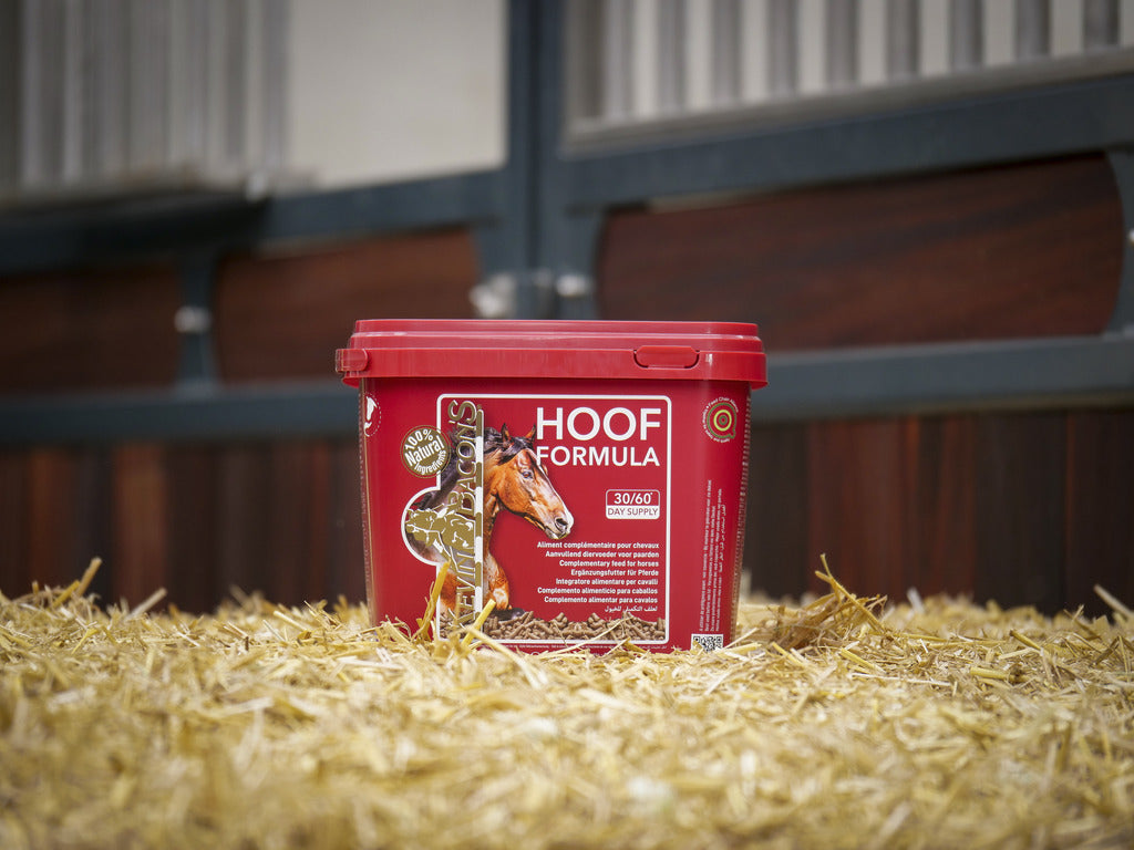 ALIMENT COMPLÉMENTAIRE COMPLET KEVIN BACON'S - HOOF FORMULA