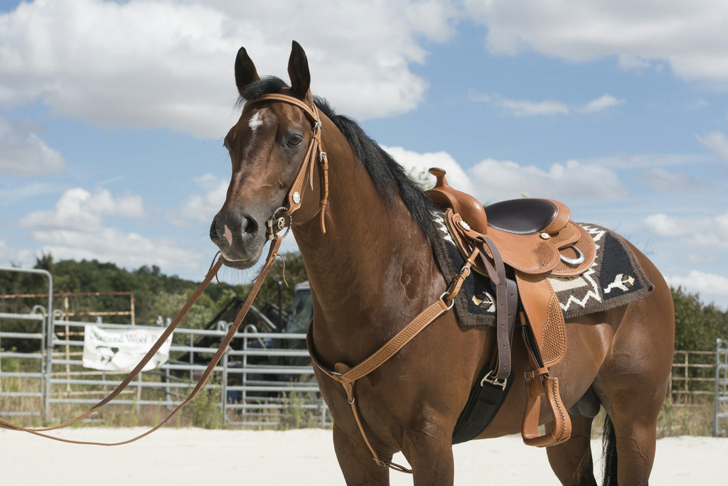 Selle western WESTRIDE BY FRANCK PERRET modèle "AURORA"