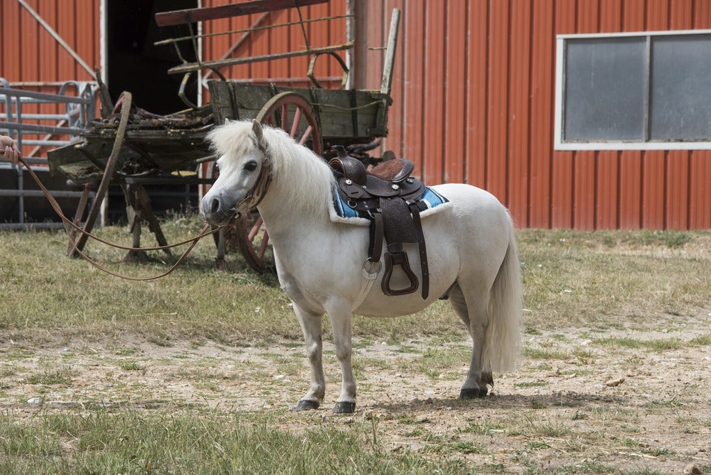 Tapis navajo WESTRIDE matelassé shetland et poney