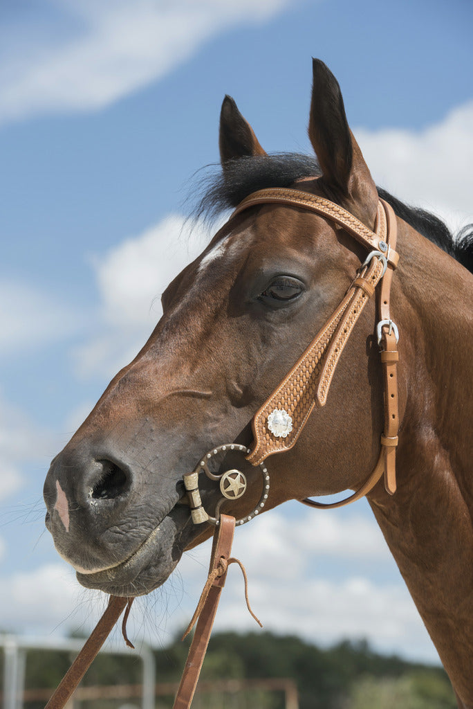 Bridon western WESTRIDE BY FRANCK PERRET "AURORA"