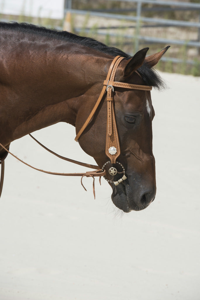 Bridon western WESTRIDE BY FRANCK PERRET "AURORA"