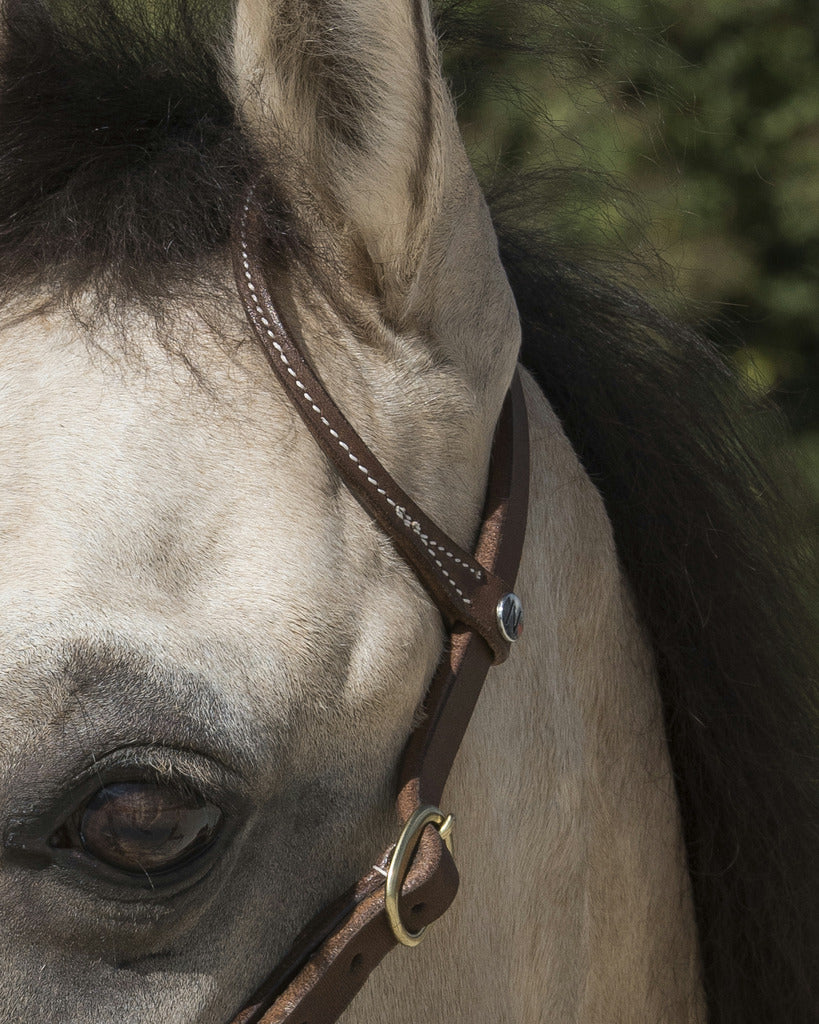 Bridon western WESTRIDE BY FRANCK PERRET "1 oreille"