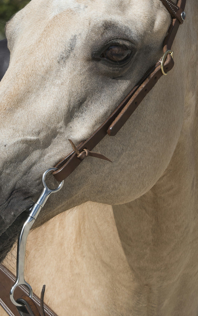 Bridon western WESTRIDE BY FRANCK PERRET "1 oreille"