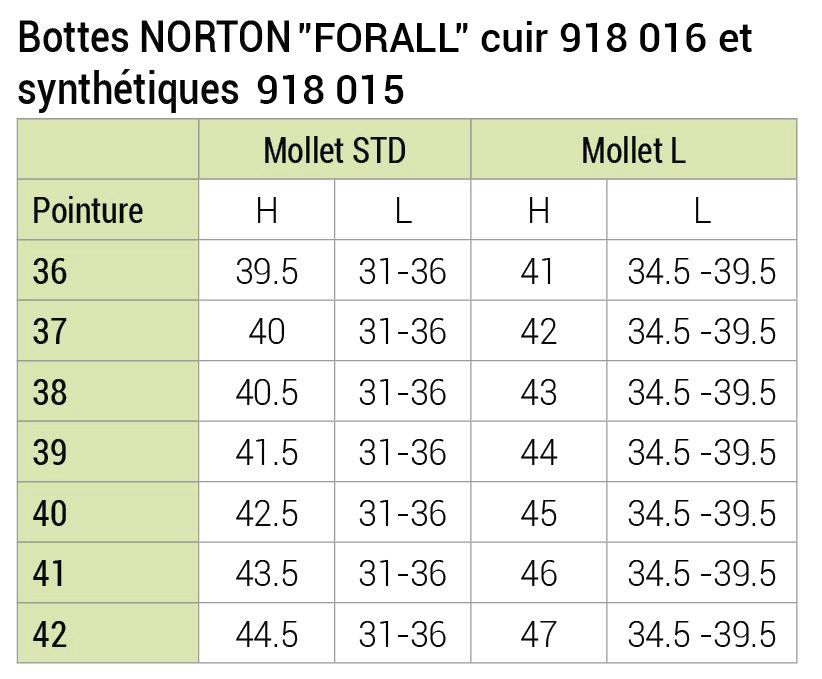 BOTTES NORTON "FORALL", SYNTHÉTIQUE, du 36 au 42