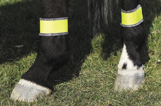 Bandages jaunes NORTON pour antérieurs/postérieurs