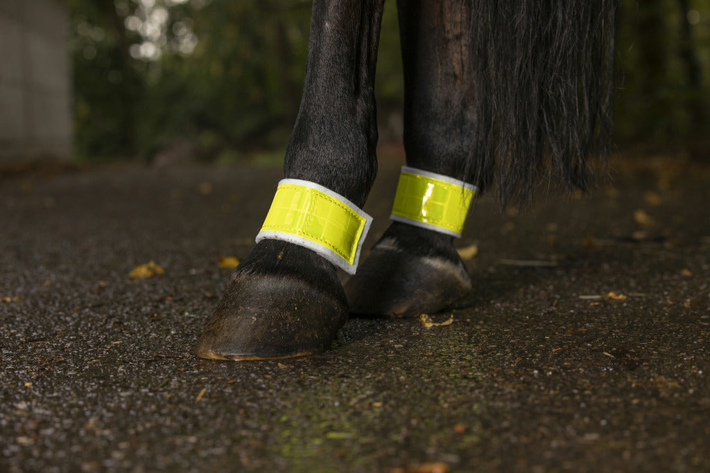 Bandages jaunes NORTON pour antérieurs/postérieurs