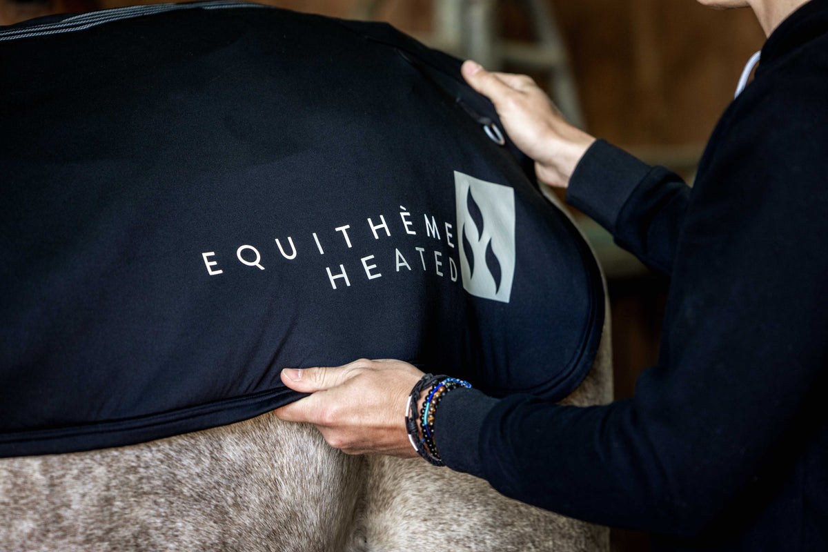 Chauffe-dos EQUITHÈME Heated - 2 tailles à choix