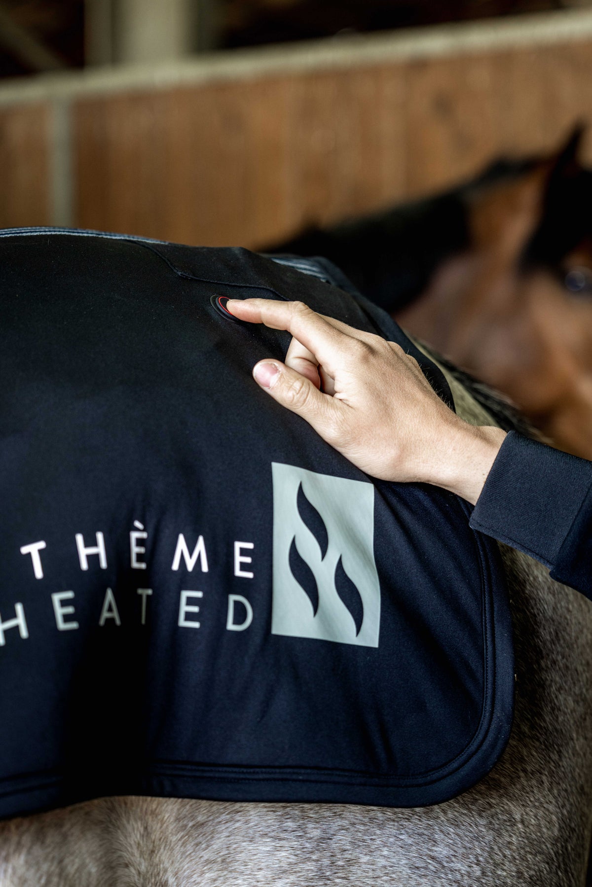 Chauffe-dos EQUITHÈME Heated - 2 tailles à choix