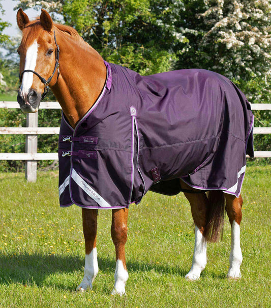 Couverture d'extérieur PREMIER EQUINE "BUSTER 840D" 70g avec couvre-cou classique amovible
