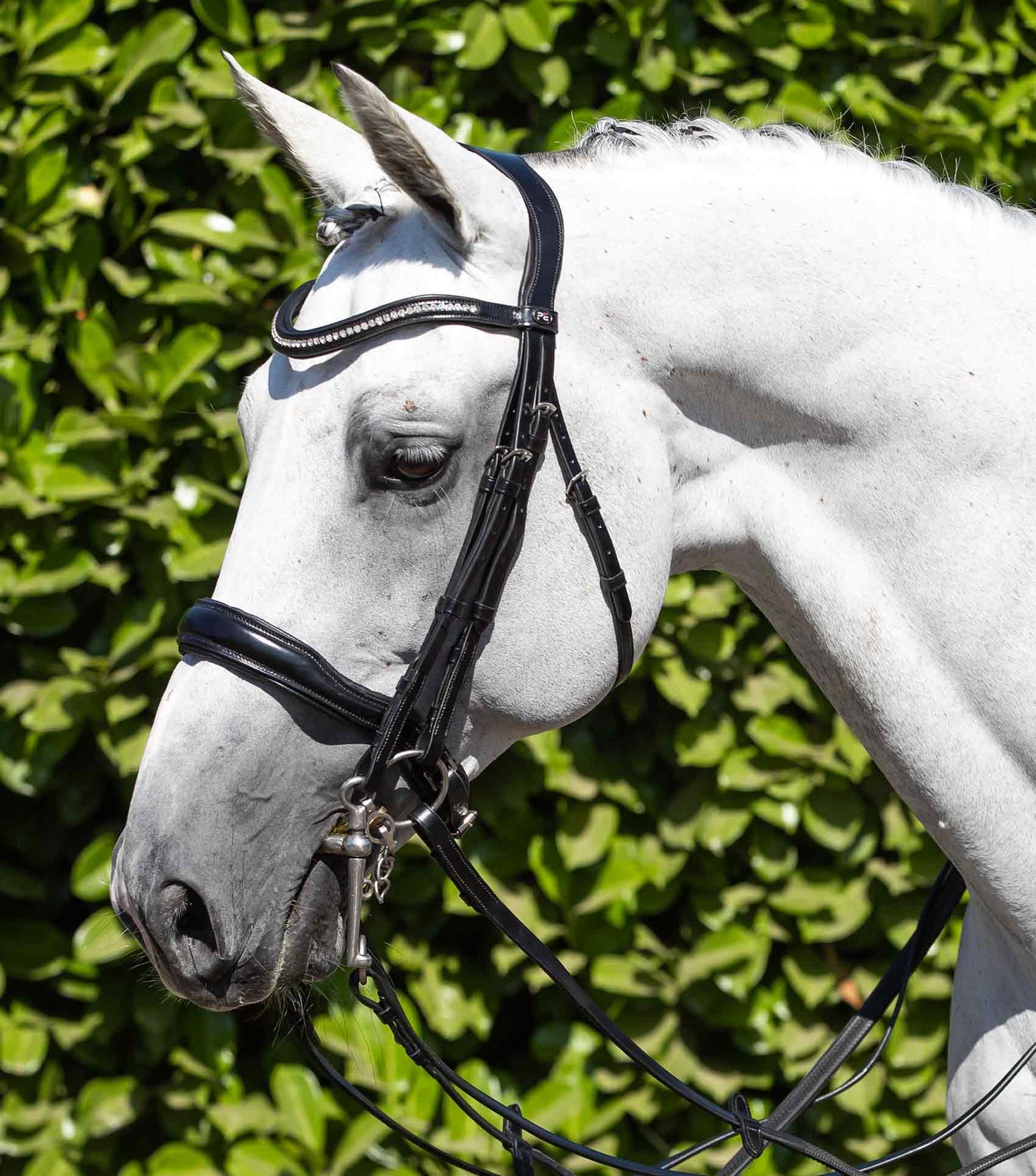 Bride complète anatomique PREMIER EQUINE Abriano