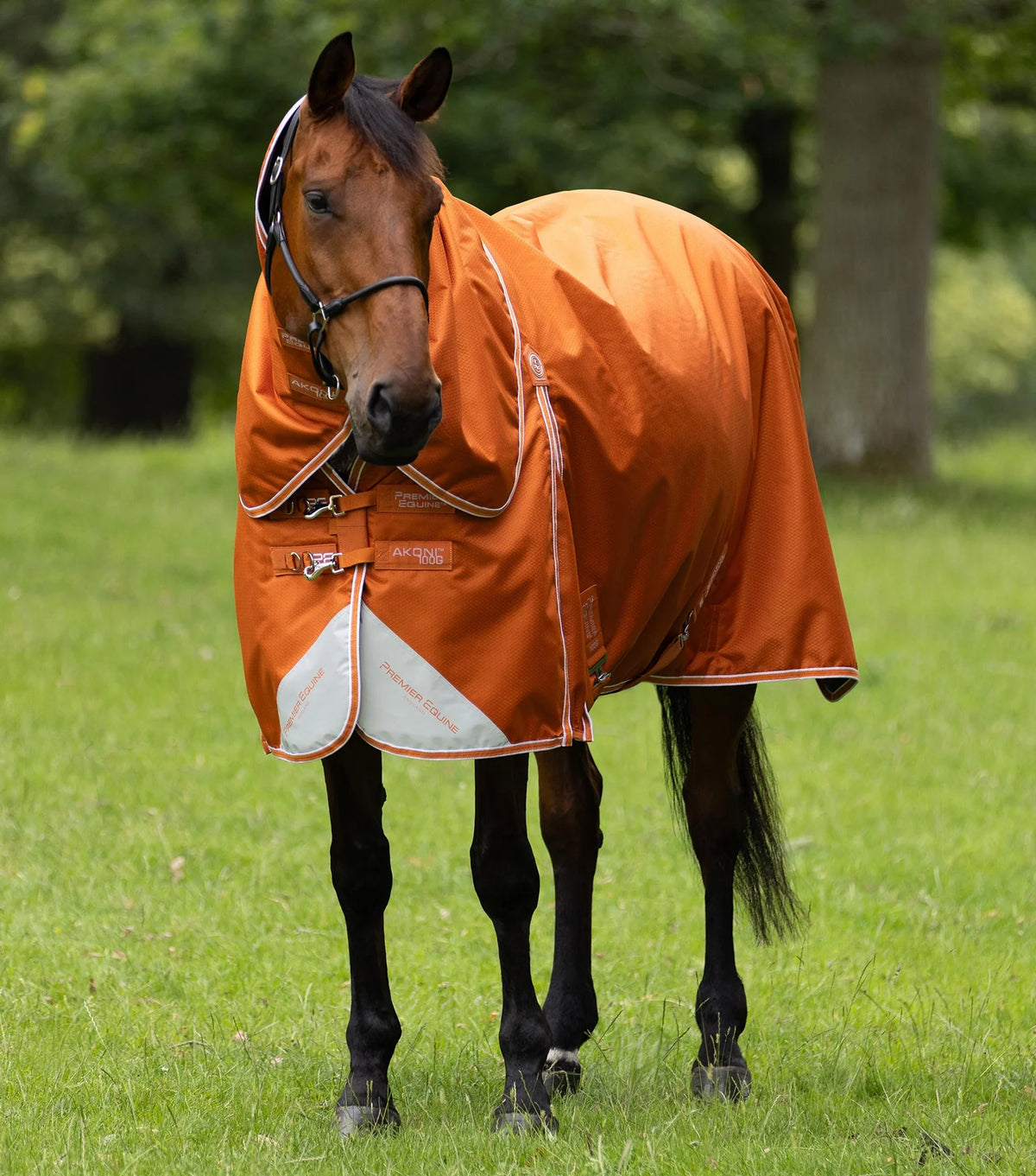 Couverture Premier Equine Akoni 100g avec couvre-cou amovible