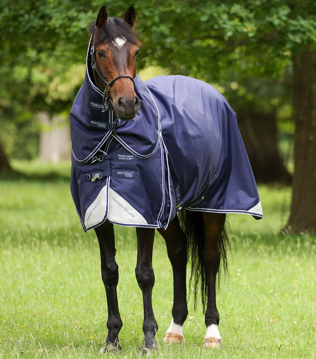 Couverture Premier Equine Akoni 100g avec couvre-cou amovible