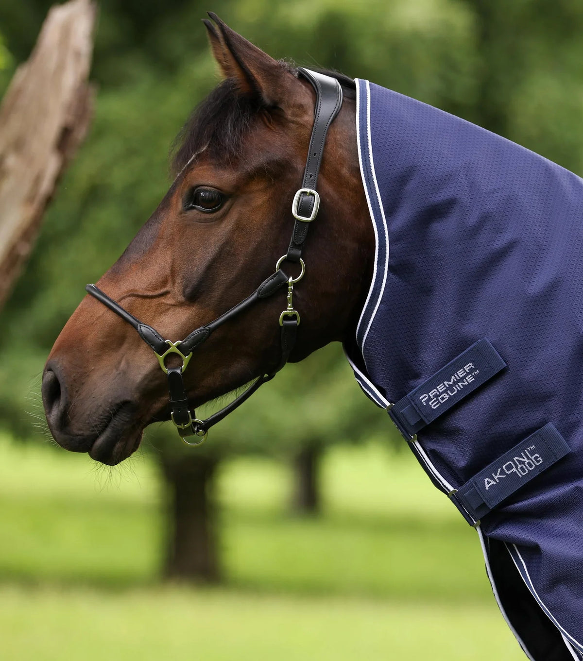 Couverture Premier Equine Akoni 100g avec couvre-cou amovible