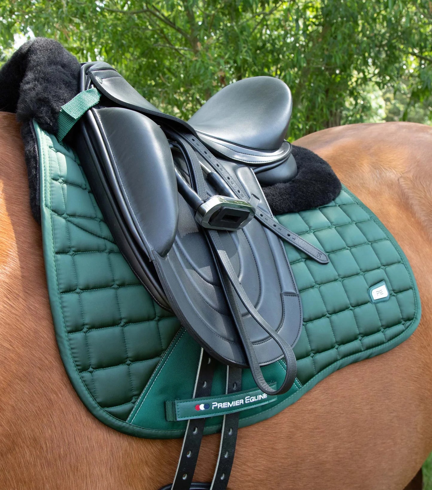 Tapis de dressage PREMIER EQUINE en laine satinée Atlantis Close Contact