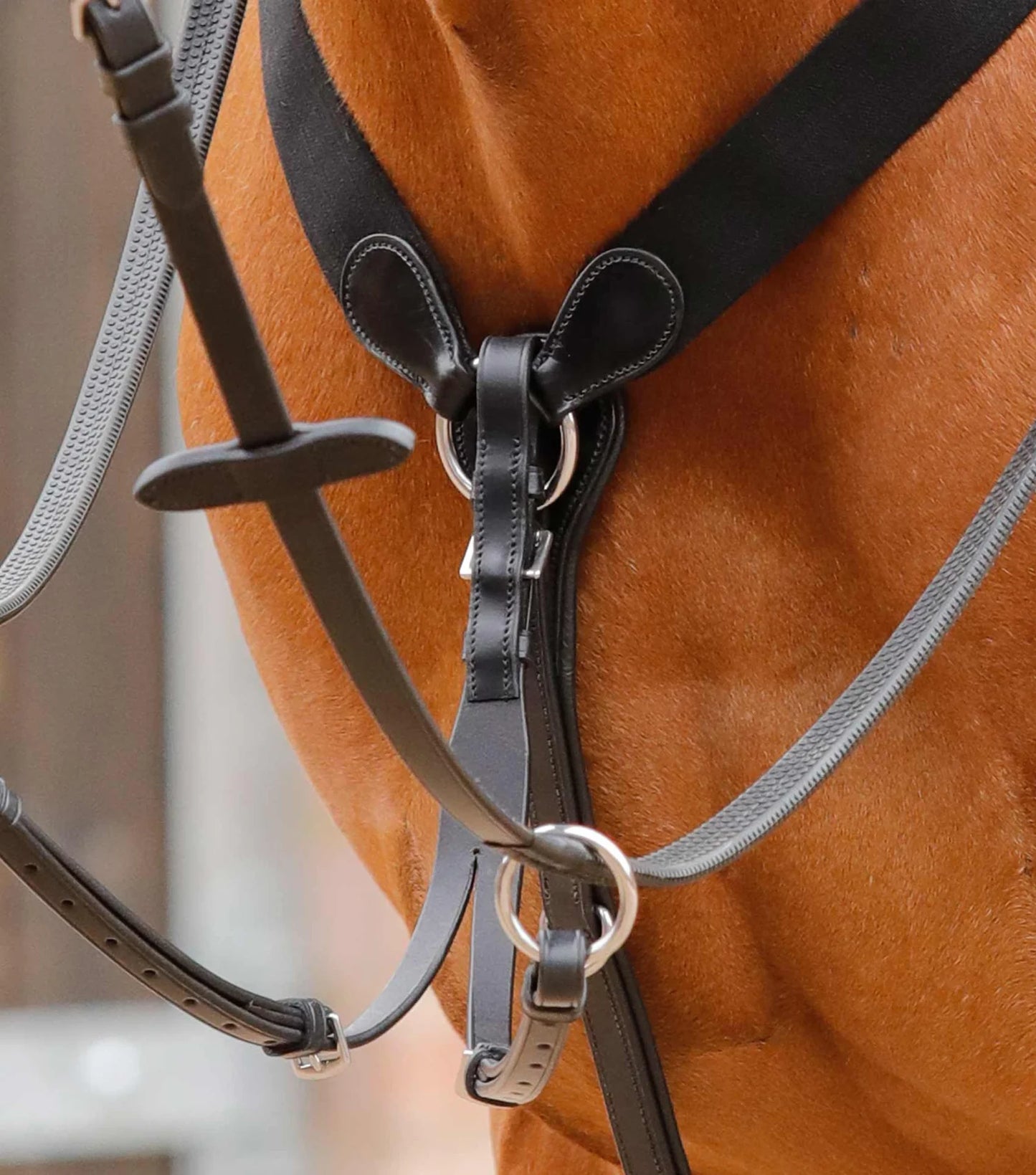 Collier de chasse PREMIER EQUINE Baressa, élastique, pour le saut