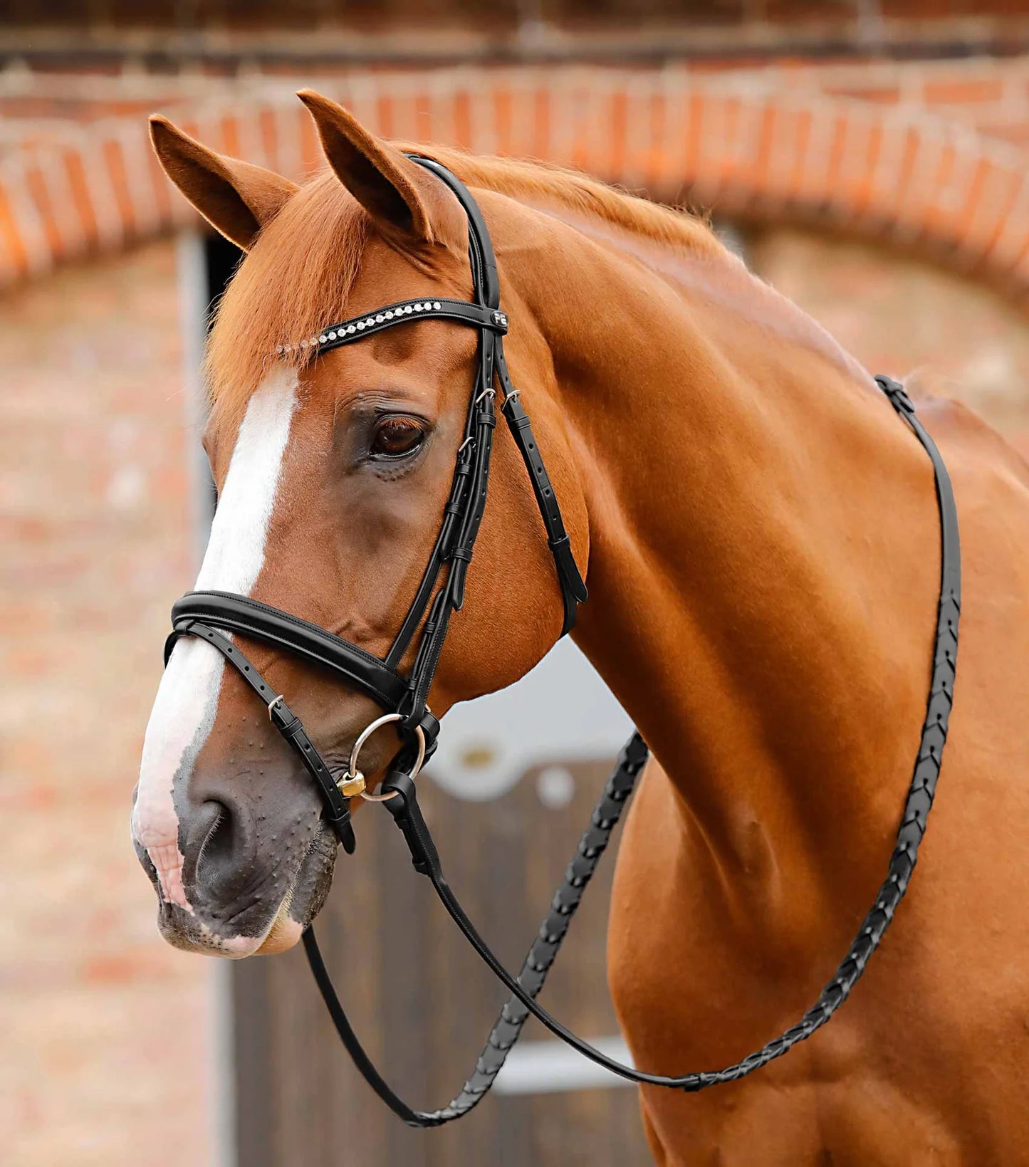 Frontal PREMIER EQUINE Bellissima avec strass