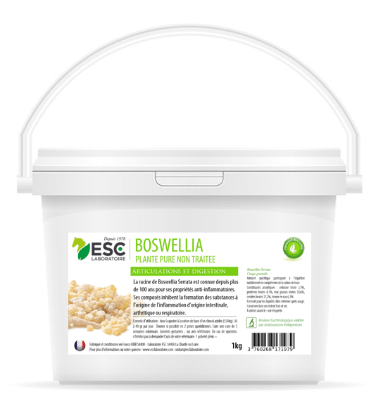 BOSWELLIA SERRATA ESC – Plante pure – Sensibilités articulaires et pulmonaires cheval